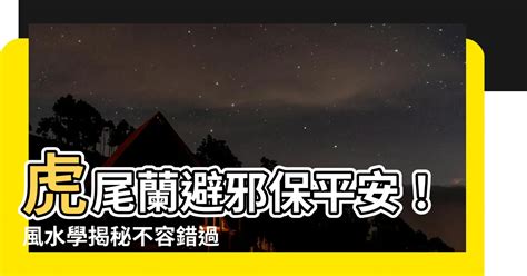 虎尾蘭放陽台|風水師揭秘:虎尾蘭陽台擺放秘訣